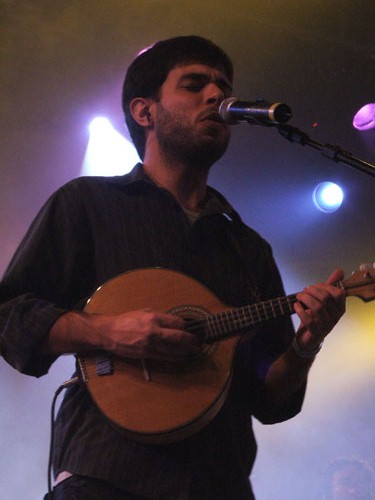 Casuarina. Foto: Leo Antunes