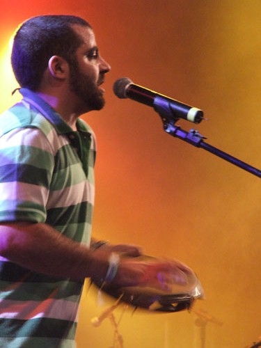 Casuarina. Foto: Leo Antunes