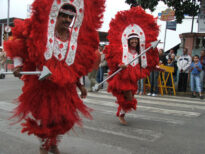 Cortejo Carnavalesco. Foto: Leo Antunes