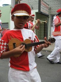 Cortejo Carnavalesco. Foto: Leo Antunes