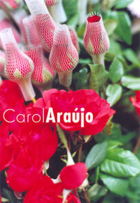 "Rosas" - Interior de Pernambuco