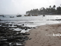 "A praia" - Praia do Forte / BA