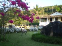 A Fazenda