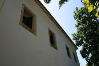 CactoeTrevo