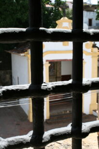 Cacto