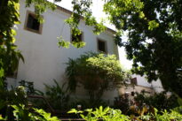 Museu de Arte Contemporânea - estrutura