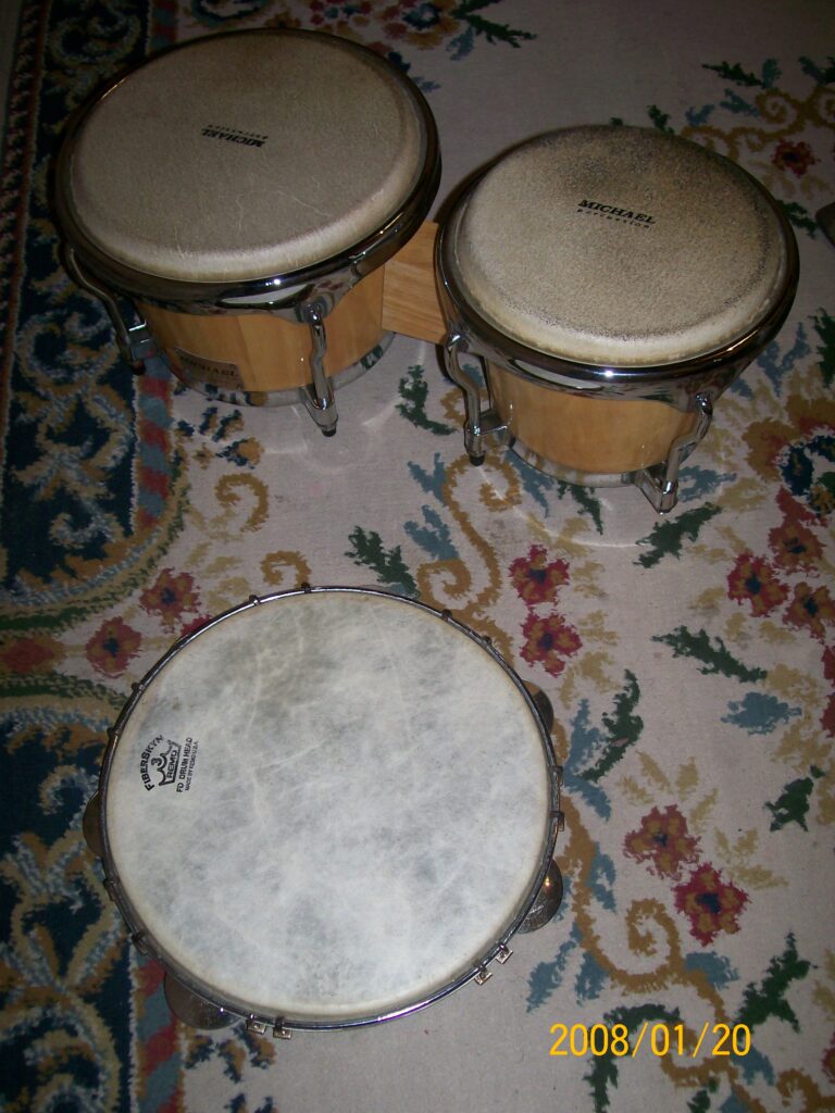 INSTRUMENTOS PANDEIRO E BONGÔ.