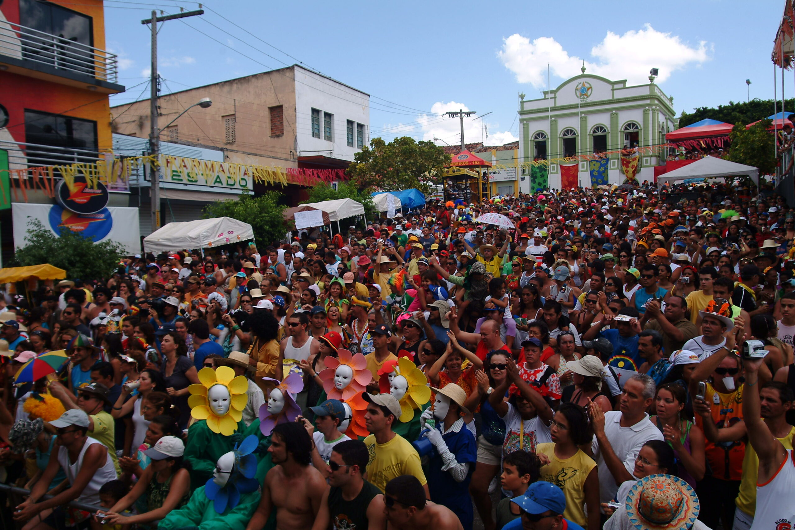 Papangus