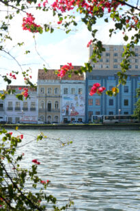Decoração do Carnaval na Fundarpe