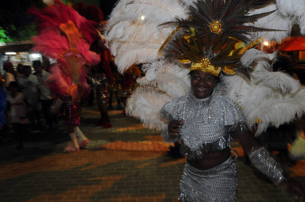 O Elefante, em Ipojuca, durante o Carnaval 2009
