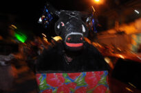 Desfile do Boi Estrela em Ipojuca, no Carnaval 2009