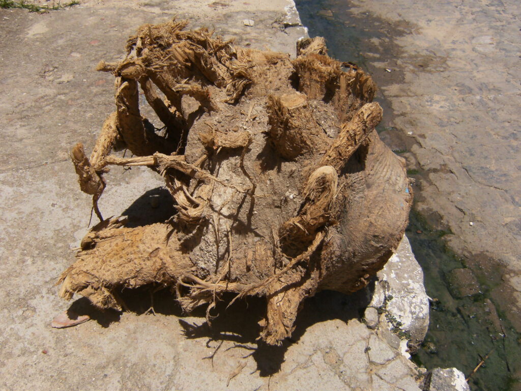 A monstruosidade humana e o grito da natureza morta.