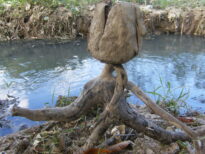 A monstruosidade humana e o grito da natureza morta.