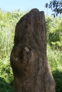 O olhar natural da arte monstroza