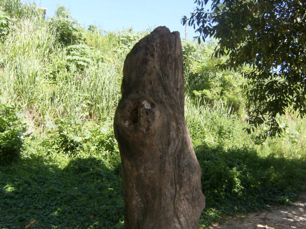 O olhar natural da arte monstroza