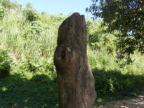O olhar natural da arte monstroza