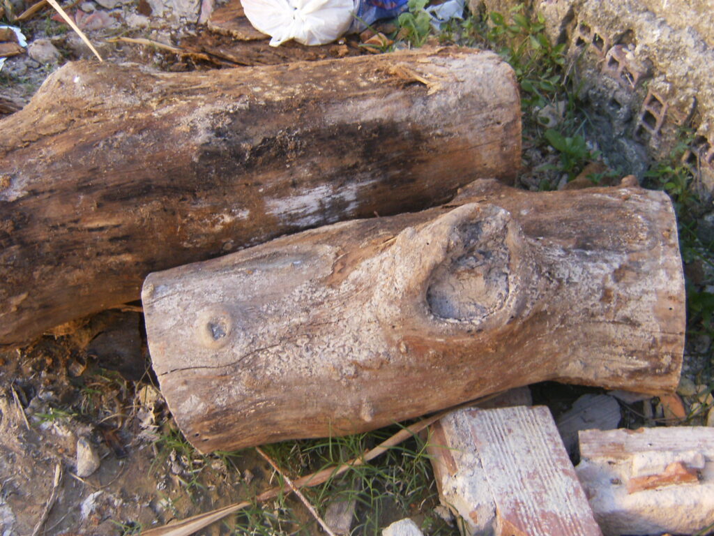 A monstruosidade humana e o grito da natureza morta.
