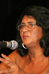 Ursos e bois - Maria Cristina de Andrade (Urso Cangaç