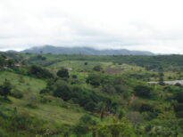 Pernambuco - Matas, Agrestes, Sertões e Arquipelago