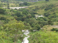 Pernambuco - Matas, Agrestes, Sertões e Arquipelago
