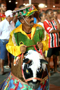 Cortejos de Cultura Popular - 1º de abril, Goiana