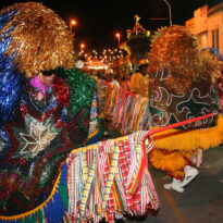 Cortejos de Cultura Popular - 1º de abril, Goiana