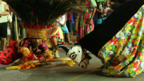 Cortejos de Cultura Popular - 4 de abril, Goiana