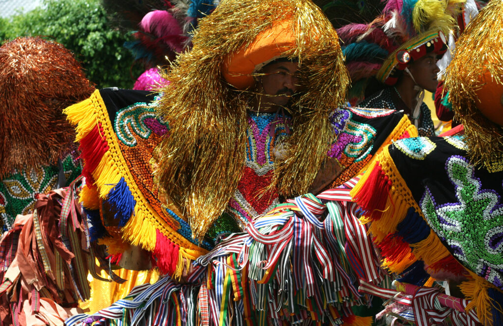 Cortejos de Cultura Popular - 5 de abril, Goiana