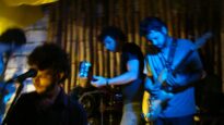 www.myspace.com/glaucoeotrem