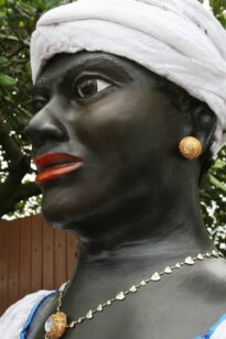 Dona da festa - perfil