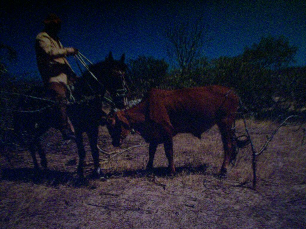 Memórial do Couro em Salgueiro