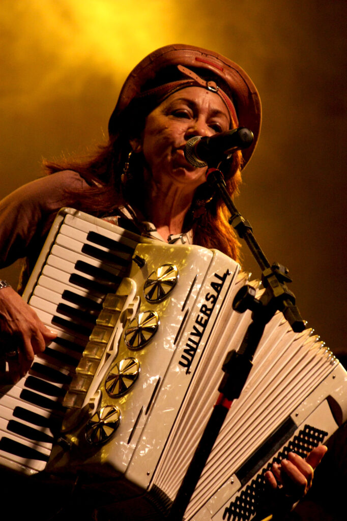 Terezinha do Acordeom - Encontro de Forrozeiros