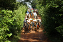 Cavalgada da Pedra do Reino