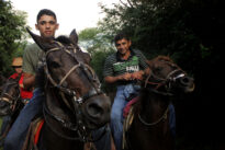 Cavalgada da Pedra do Reino
