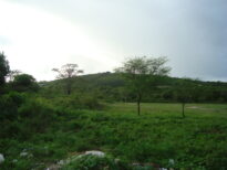 Sítio Campos, Caruaru