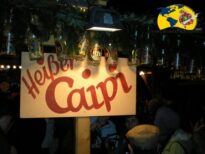 www.maracatu-atomico.com :europa