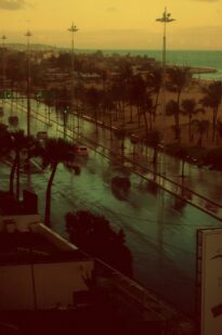 Avenida Boa viagem