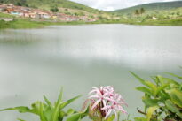 são joão