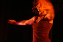 dança, pop,expo 100 anos de vitalino, forro-euclides dourado