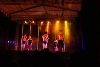 dança, pop,expo 100 anos de vitalino, forro-euclides dourado