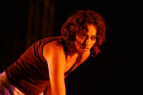 dança, pop,expo 100 anos de vitalino, forro-euclides dourado