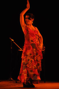 Palco Pop e Dança no Parque Euclides Dourado - FIG 2009