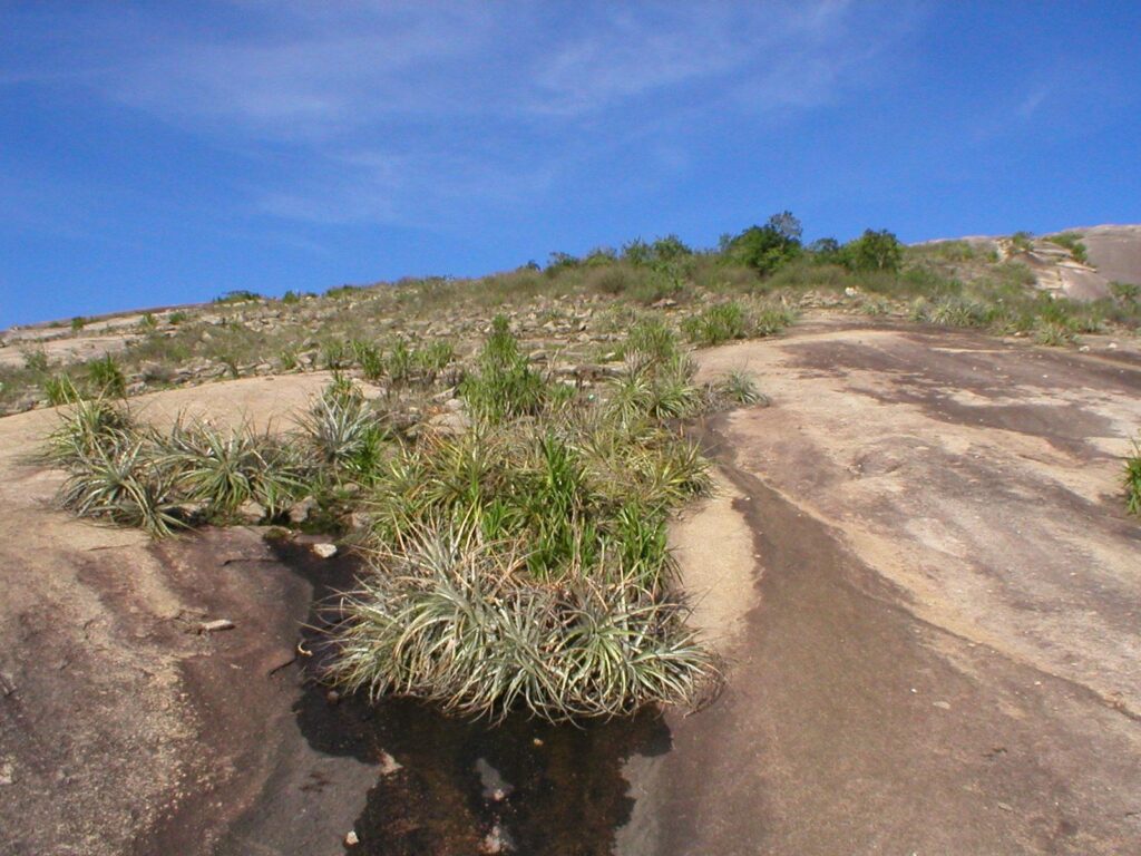 Pedra Patrimônio Histórico