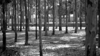 Parque Euclides Dourado (Foto) Márcio Ancelmo