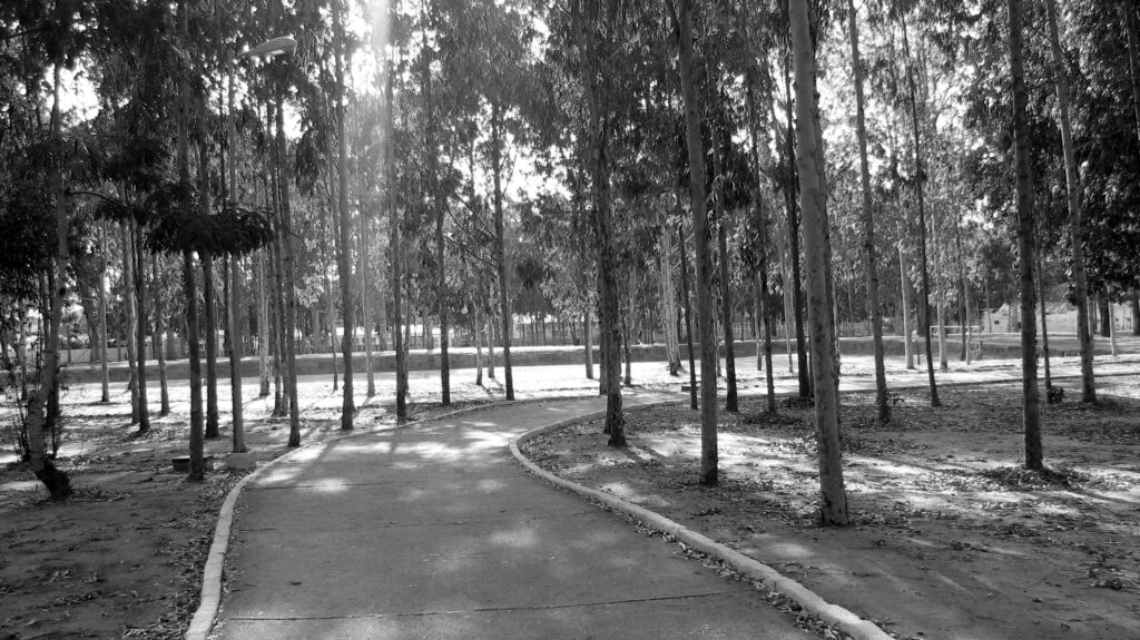 Parque Euclides Dourado (Foto) Márcio Ancelmo