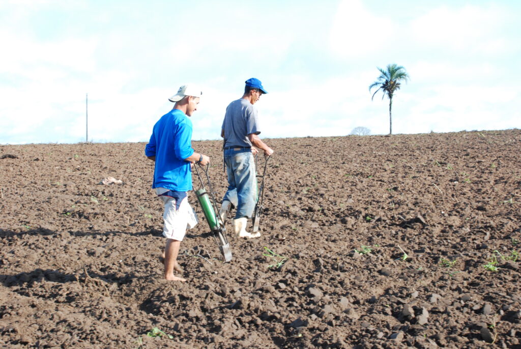 Plantando feijão