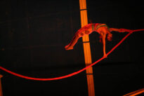 Circo: Tirando a máscara, mostrando nossa cultura - FIG 2009