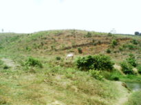 Sitio