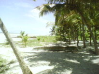 Praia