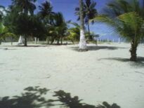 Praia